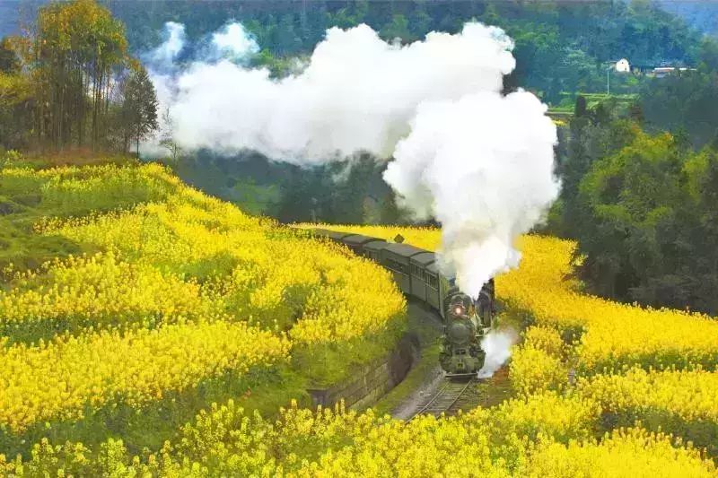 嘉阳小火车，开往春天的列车！