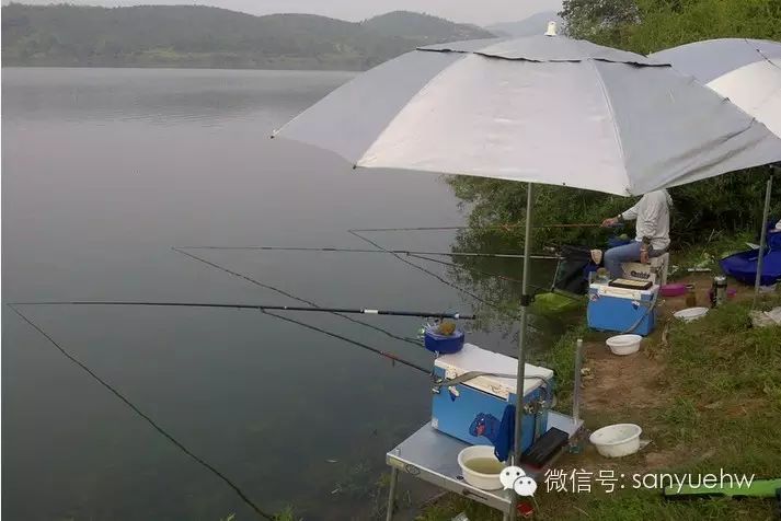 【三悦说】062夏初时节在水库钓鲤鱼的技巧介绍