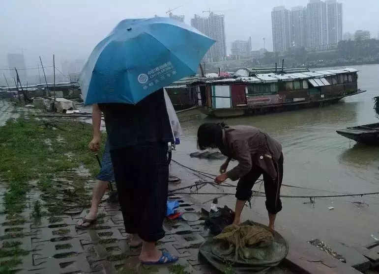 汉江正处于禁渔期，有人划船撒网，惹上了大麻烦