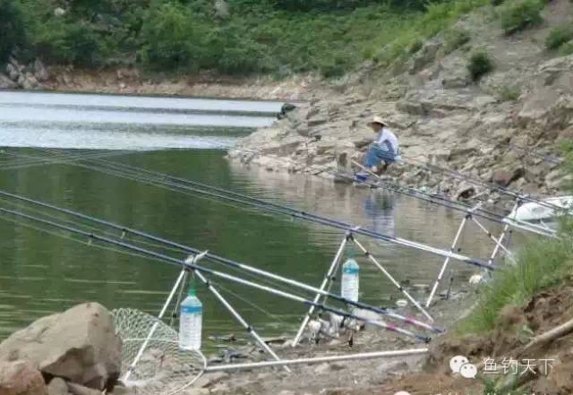 钓鱼技巧 || 深秋季节海竿钓鲤鱼的方法和技巧