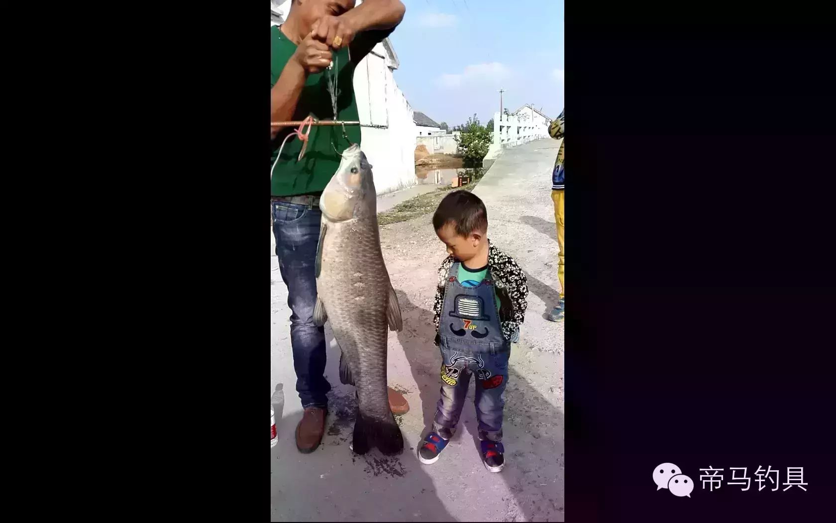 大鱼比娃高！江苏一钓友钓起43斤青鱼，有视频有真相！