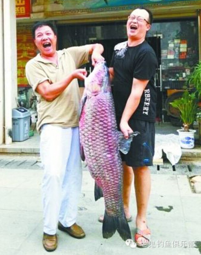 【鱼获战报】夜钓64.7斤大鱼，人鱼周旋2小时！