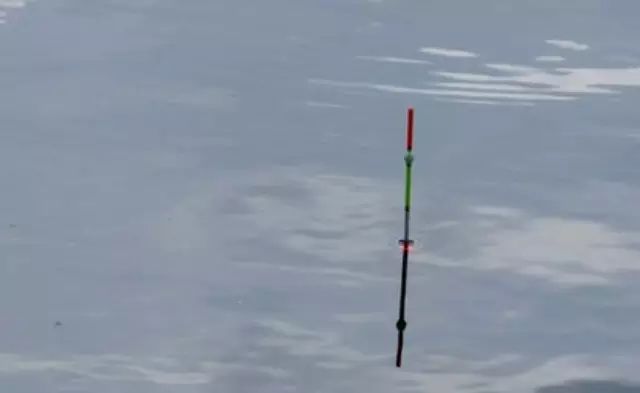 钓鱼浮漂的真假信号辨别
