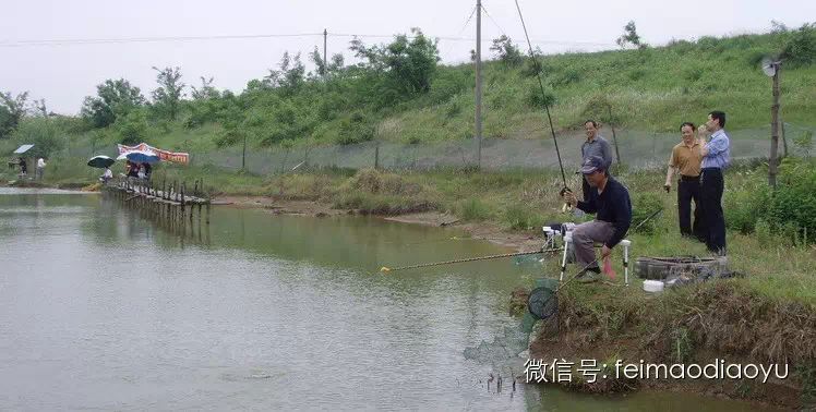 台钓鲢鱼的技巧