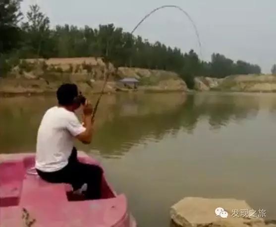 这钓鱼视频有魔性，看的完全停不下来！