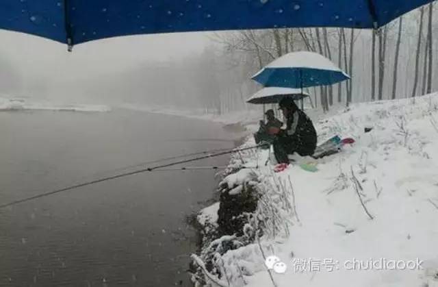 【视频+图文】顶着大雪钓鱼的人，你们太棒了！