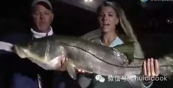 【视频】钓鱼美女与野兽十大经典镜头