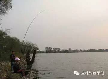 水库手竿诱钓鲢鳙鱼的技巧