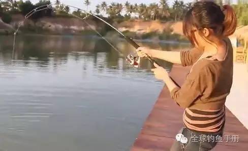 初学者易懂的竞技钓鱼技巧入门