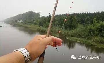 浮钓白条鱼的钓具、用饵选择与垂钓技巧