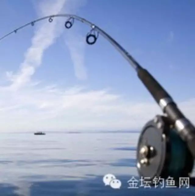 钓鱼新手如何选择一款合适的鱼竿？