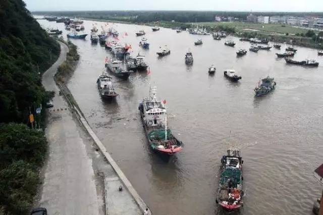 中国沿海渔船特点、分布规律及避让对策
