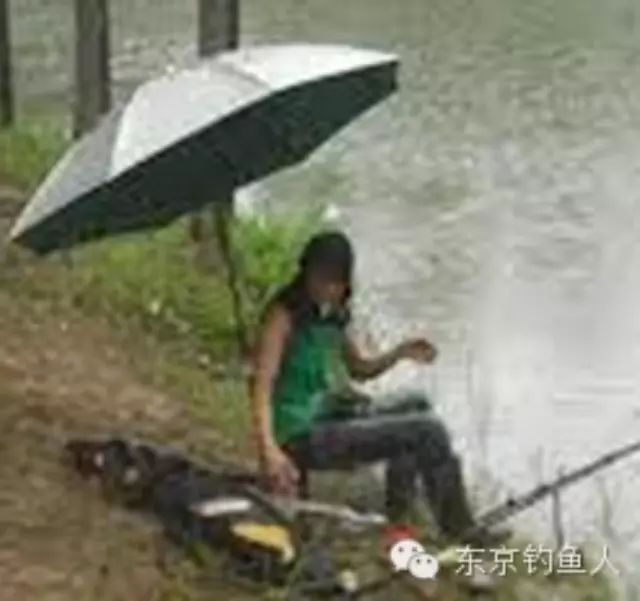 【钓技】夏季下雨天钓鱼技巧
