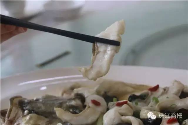 华侨城私房菜菜谱⑦丨蒸鱼要做到鲜味嫩滑，秘诀原来就在这里！