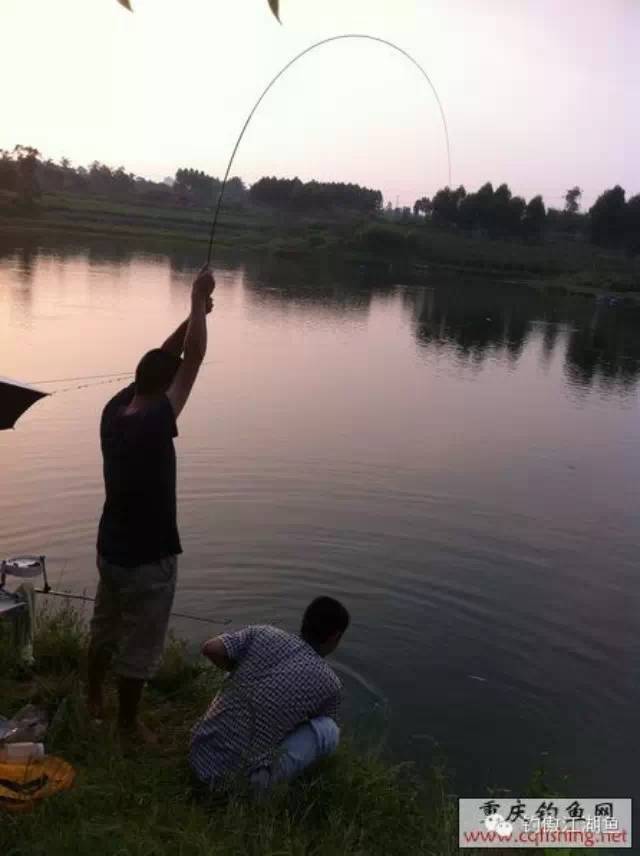 钓鱼常识3