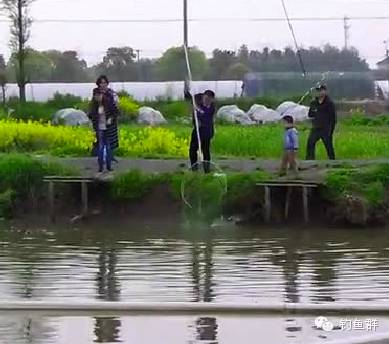 【视频】钓鱼人单挑200斤以上“导弹”鲟鱼
