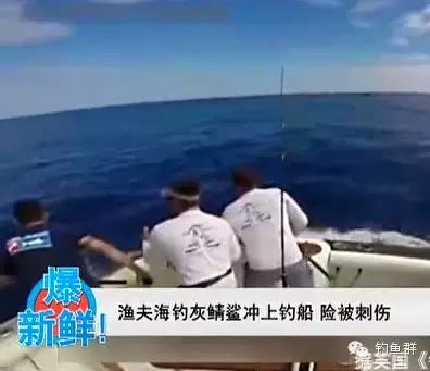 【视频】海钓时碰到灰鲭鲨险些被刺死，这就是海钓人危险