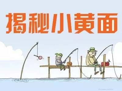 解密：火遍全中国钓鱼圈的“小黄面”到底是个什么玩意？