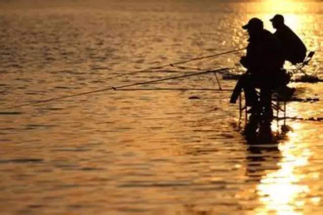 【实用技巧】初秋本是钓鱼好季节，为什么有的地方鱼难上钩？
