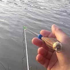 台钓时，竿尖到底入水多少合适？