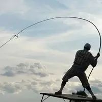 【钓鱼技巧】道高一尺魔高一丈 应对黑坑限竿有绝窍