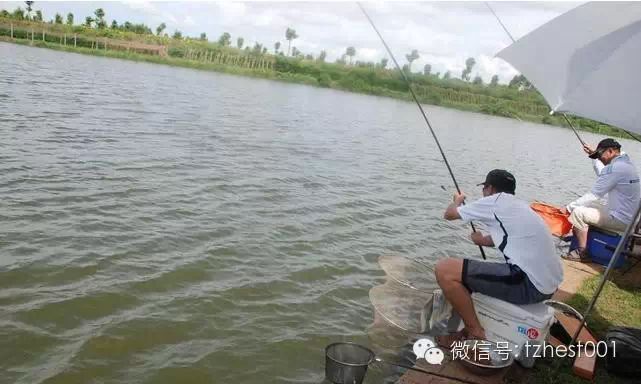 【钓鱼常识】雨季要来了，说说不同的时期的雨对钓鱼的影响