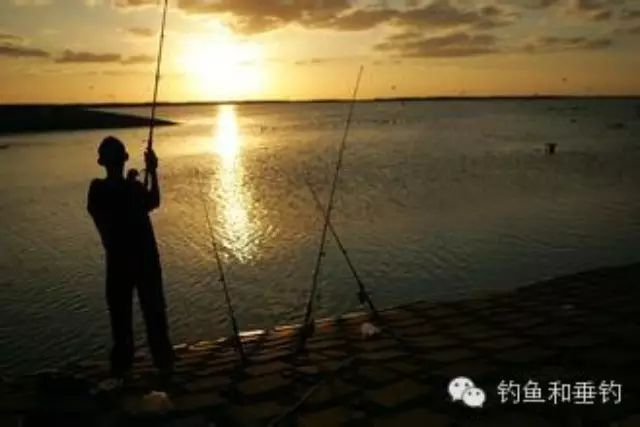 【火爆】15万钓鱼人每日必看的随身宝典