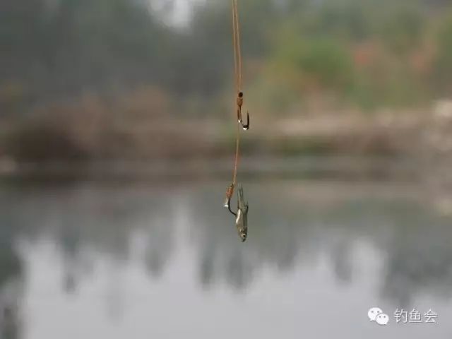 钓鱼人怎能不会打结、绑钩、连接？