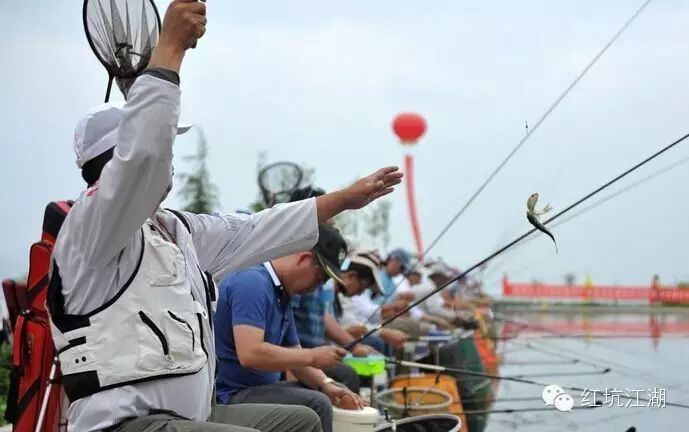 【红坑活动】本周六红坑钓鱼比赛将增设回鱼项目，每斤五元！