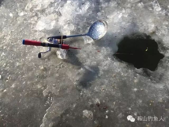 【视频】冰钓算什么？冰捕才过瘾