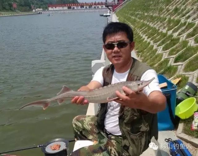夏季钓鱼提高渔获的八个技巧