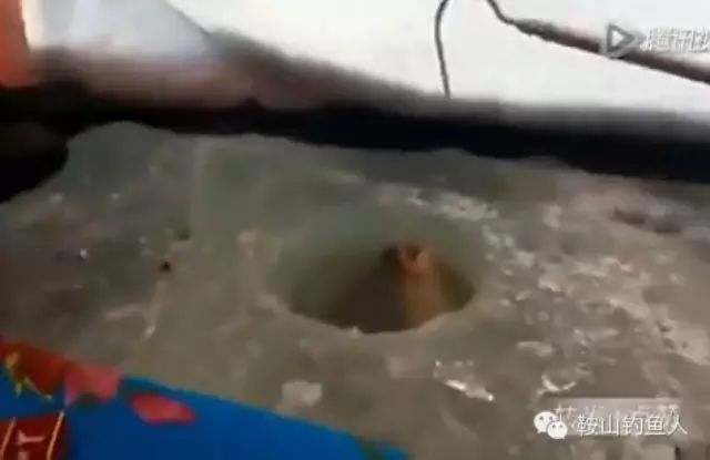 【视频】冰钓上大鱼全过程——看着都过瘾！