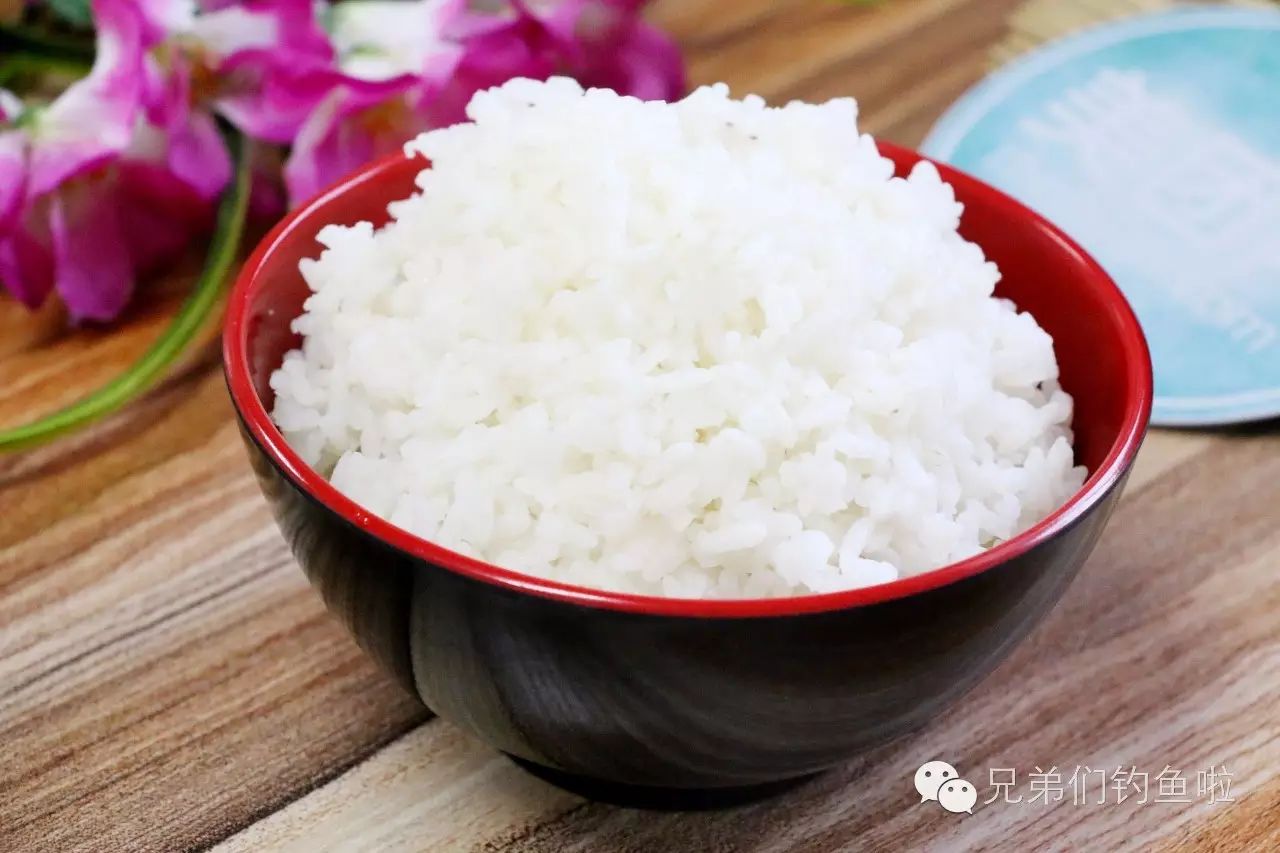 米饭钓鱼 钓鲫鱼特效饵 一粒米饭引起的血案