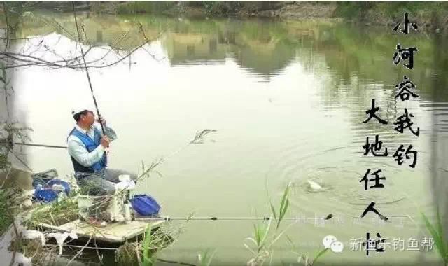 『钓鱼技巧』夏天如何在肥水鱼塘钓鱼