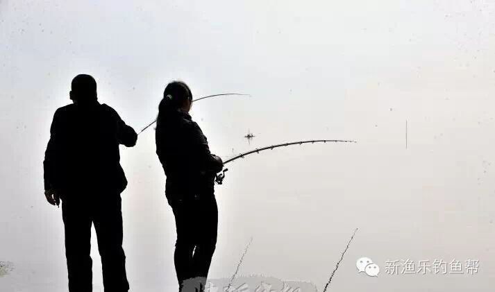 『钓鱼技巧』冬季钓鲤鱼的优势与垂钓技巧