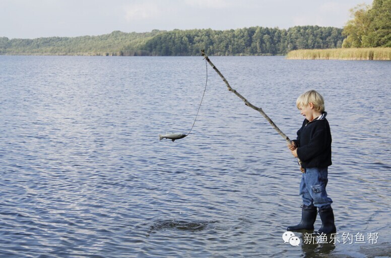 『钓鱼技巧』台钓法使用抄网抄鱼的三大秘诀