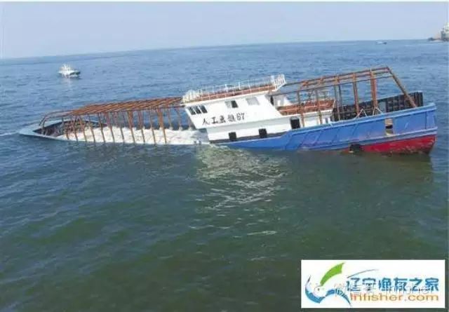 浙江最大人工鱼礁群：百艘沉船变身鱼虾乐园
