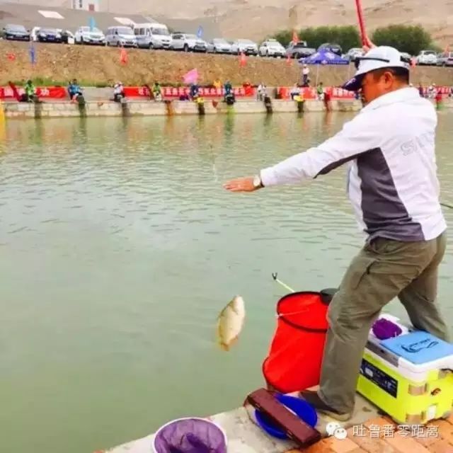 钓鱼比赛你看过吗？吐鲁番举办全疆特种鱼垂钓大赛（组图）