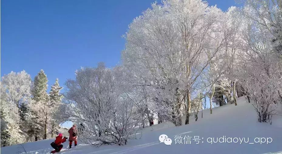 中国·虎林国际冰雪周 暨南岛湖国际冰钓交流赛