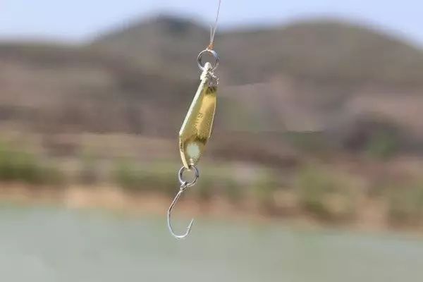 【钓鱼技巧】防止路亚拟饵挂底的方法介绍。