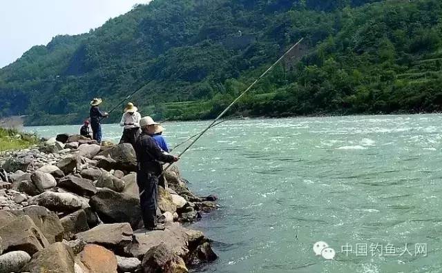 夏季钓鱼实用技巧有哪些