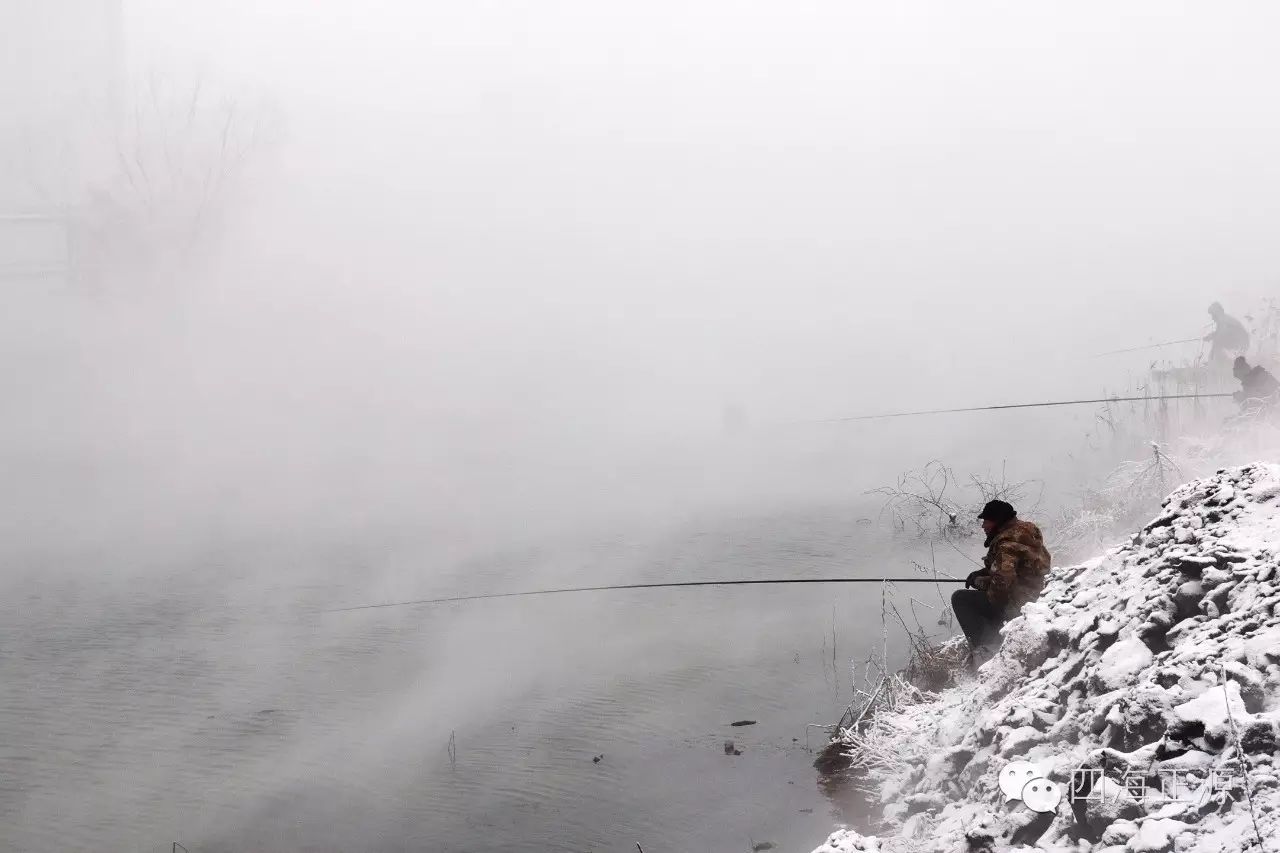 【四海科普】南方冬季，有你想象不到的钓鱼饵料！