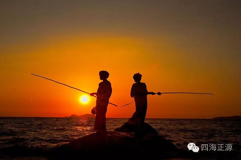 【四海支招】学会钓位选择的8大技巧，让你每天都渔获满满！