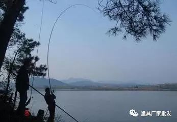 【视频】水库钓鱼大战霸王鲢鱼，这鱼竿实在给力
