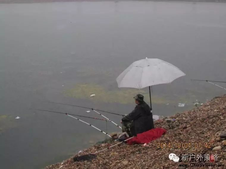 谈谈秋雨过后水质变化对钓鱼的影响