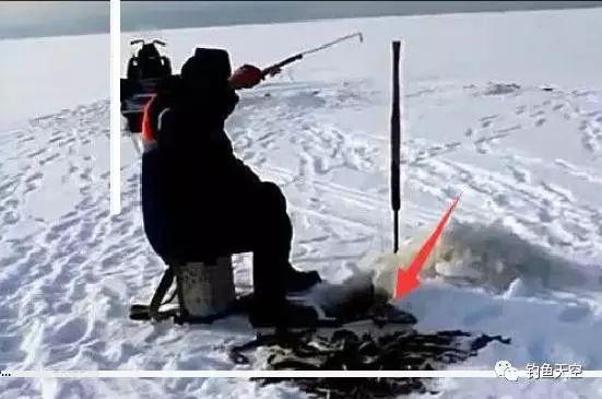 【钓鱼视频】高手玩冰钓,饵都不用换5秒一条鱼