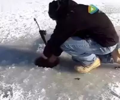 【钓鱼视频】冰钓洞太小拉了半天，看到是鲟鱼狂喜啊！