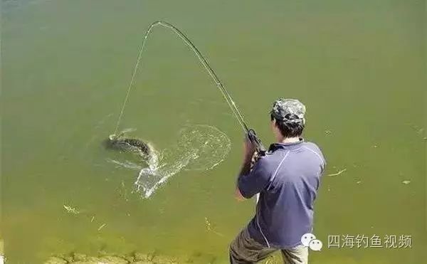 【钓鱼视频】你这爆脾气，根本就不适合钓鱼