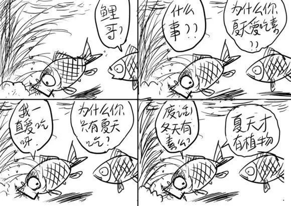 【幽默】钓鱼趣事合集2