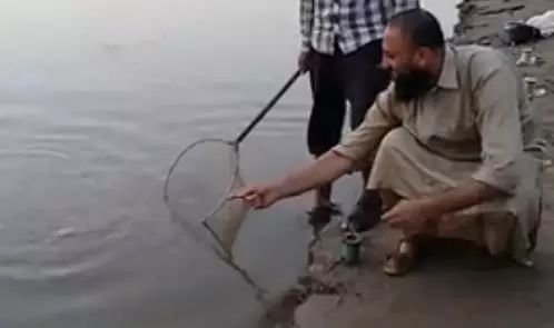 【视野】印度人的钓鱼方式有点不一样